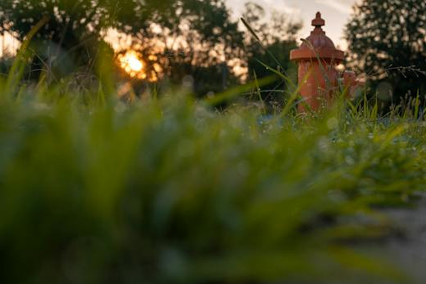 物业经理资格证考试报考条件及流程