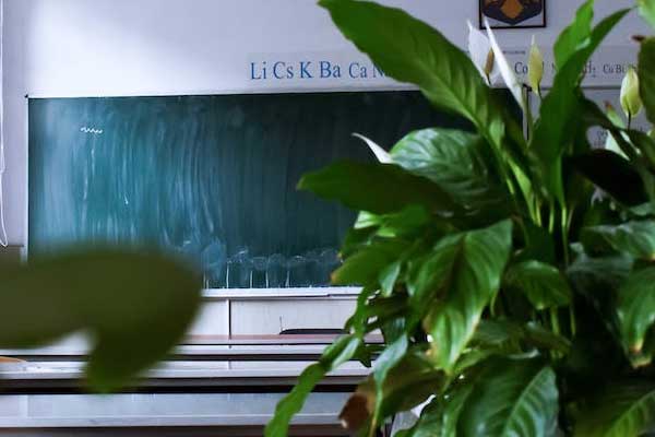 海拉尔教师资格培训哪家好 - 学费多少钱 - 培训多久