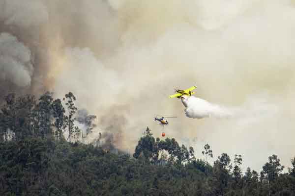 安康消防工程师证怎么考 - 报考条件 - 报名入口