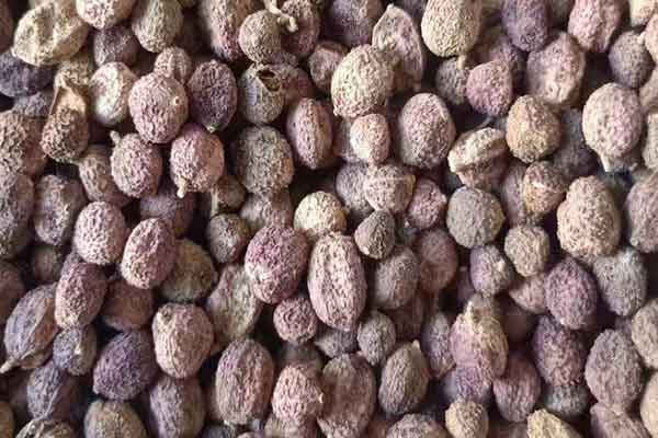 丽水中医师承班要多少学费 - 培训机构排名