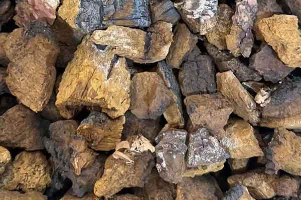 金华中医师承班要多少学费 - 培训机构排名