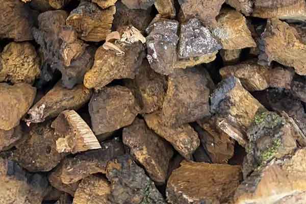 浙江中医师承班要多少学费 - 培训机构排名