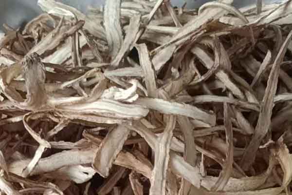 商丘中医师承班要多少学费 - 培训机构排名