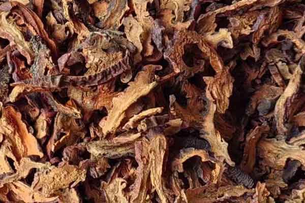 新乡中医师承班要多少学费 - 培训机构排名