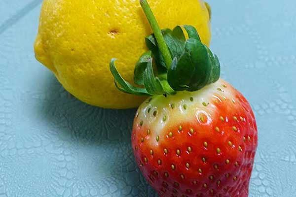 鞍山公共营养师报考条件 - 考试地址 - 考试科目