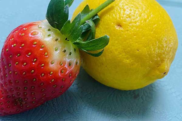 临沂公共营养师报考条件 - 考试地址 - 考试科目