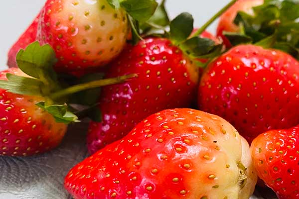 菏泽公共营养师报考条件 - 考试地址 - 考试科目