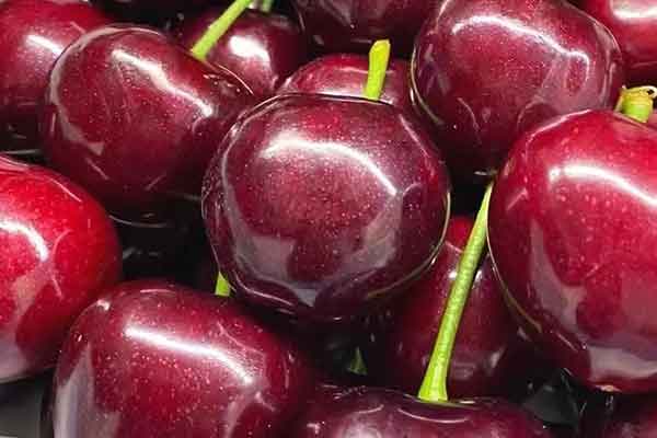 阜阳公共营养师报考条件 - 考试地址 - 考试科目