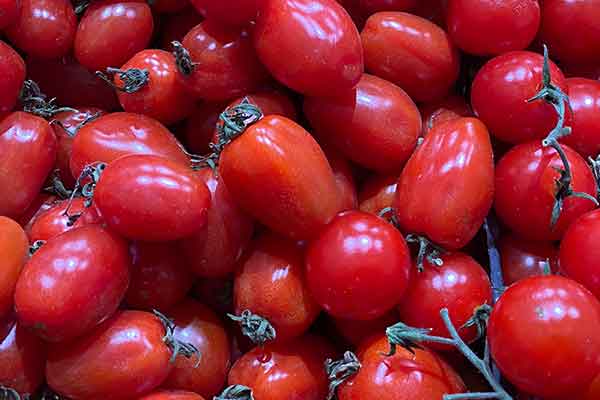 蚌埠公共营养师报考条件 - 考试地址 - 考试科目