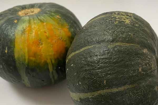 福州公共营养师报考条件 - 考试地址 - 考试科目