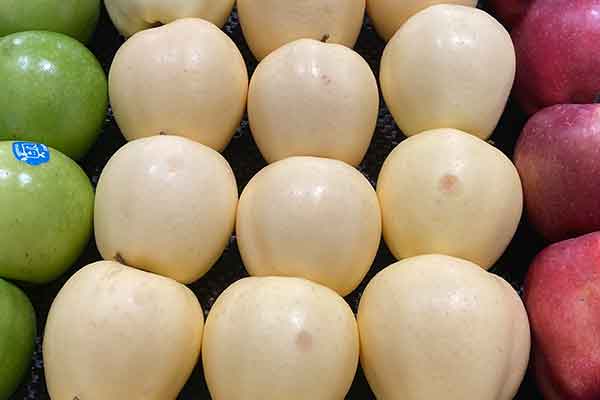 宁德公共营养师报考条件 - 考试地址 - 考试科目