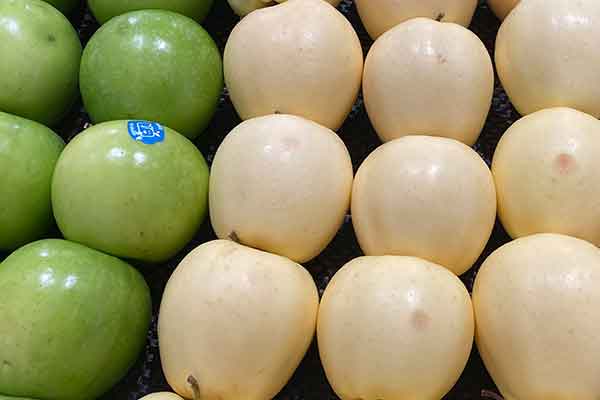 三明公共营养师报考条件 - 考试地址 - 考试科目