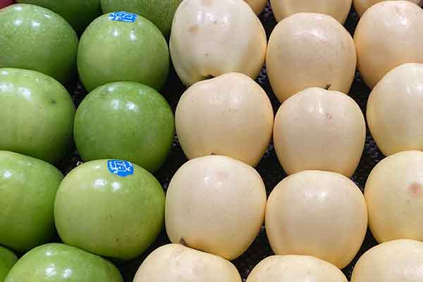 南平公共营养师报考条件 - 考试地址 - 考试科目