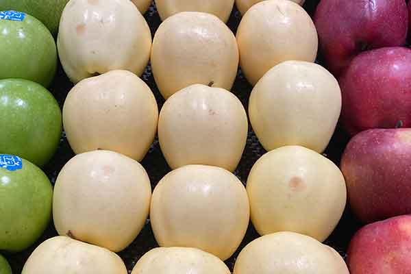 福建公共营养师报考条件 - 考试地址 - 考试科目