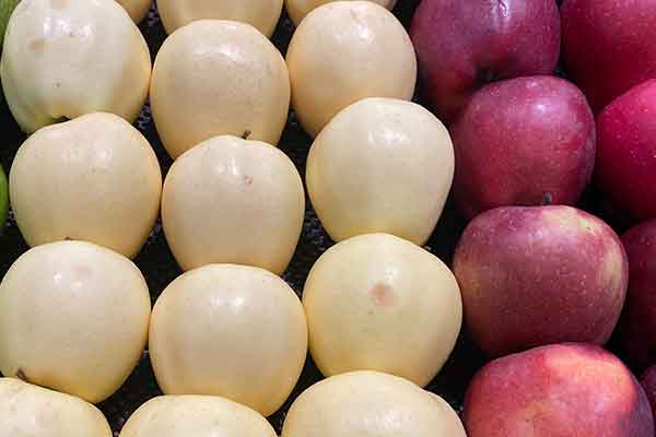 江西公共营养师报考条件 - 考试地址 - 考试科目