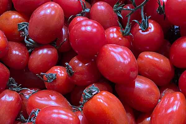 驻马店营养师报考条件 - 考试地址 - 考试科目