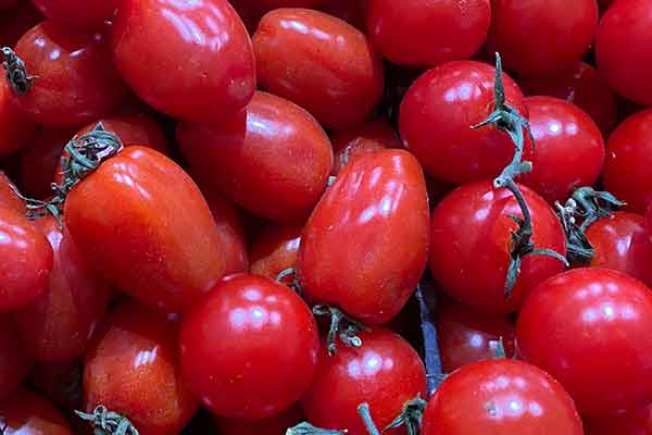 衡阳营养师报考条件 - 考试地址 - 考试科目