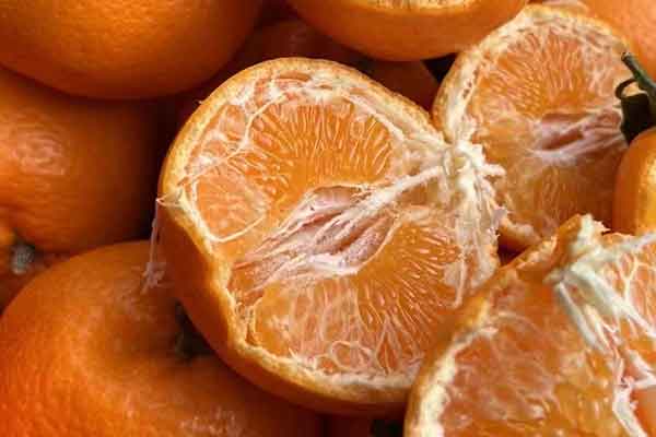 濮阳营养师报考条件 - 考试地址 - 考试科目