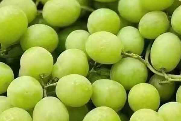 长沙营养师报考条件 - 考试地址 - 考试科目