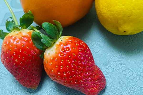 郴州营养师报考条件 - 考试地址 - 考试科目