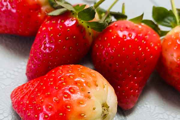 常德营养师报考条件 - 考试地址 - 考试科目