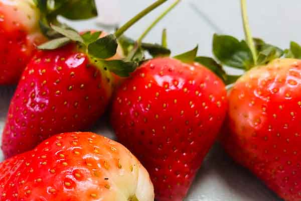 永州营养师报考条件 - 考试地址 - 考试科目