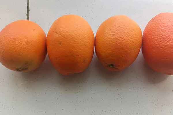 襄阳营养师报考条件 - 考试地址 - 考试科目