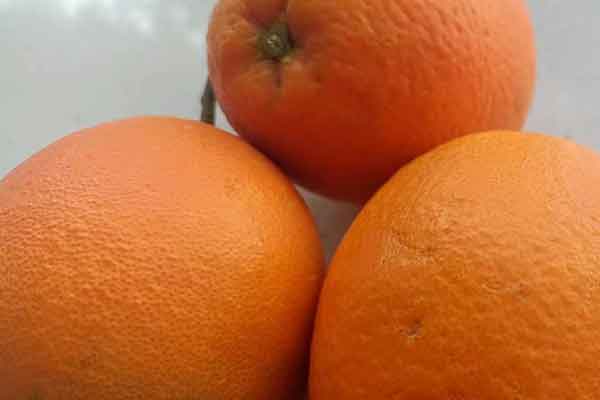 孝感营养师报考条件 - 考试地址 - 考试科目