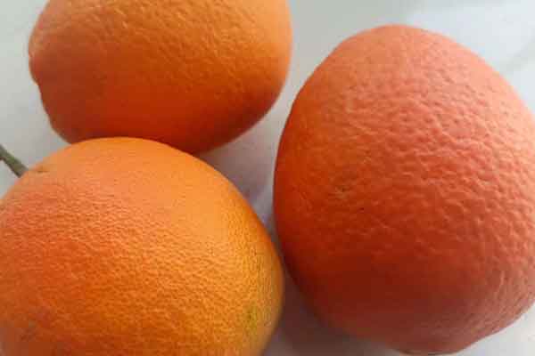 六盘水营养师报考条件 - 考试地址 - 考试科目