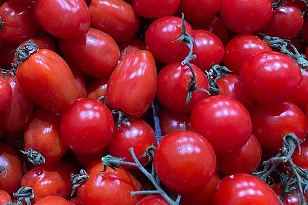 渭南营养师报考条件 - 考试地址 - 考试科目