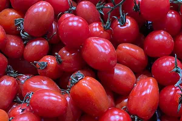 延安营养师报考条件 - 考试地址 - 考试科目