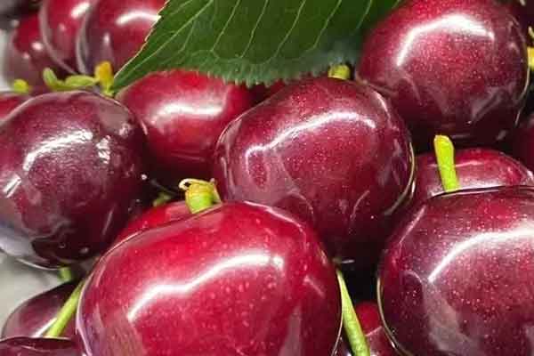 宝鸡营养师报考条件 - 考试地址 - 考试科目