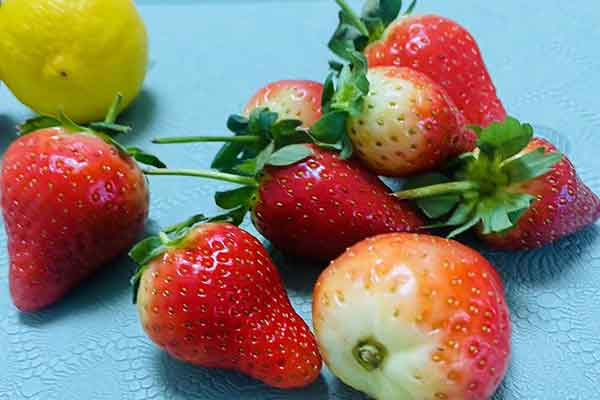 公共营养师就业前景？可以从事什么工作？