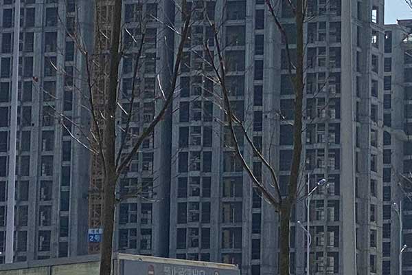 未标题-1.jpg