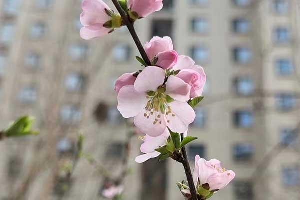 南通心理咨询师证怎么考 - 报考条件要求有哪些？