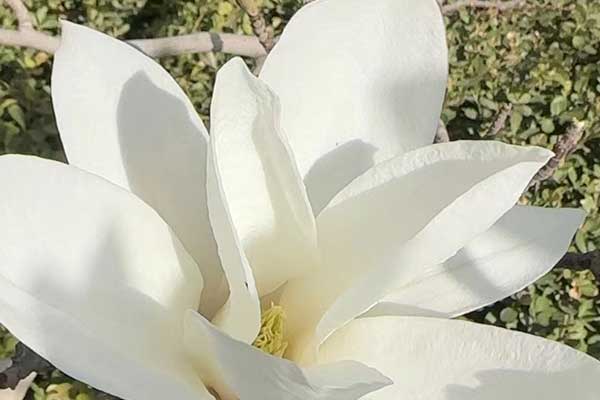 昆山心理咨询师证怎么考 - 报考条件要求有哪些？