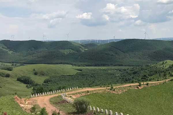 合肥心理咨询师证怎么考 - 报考条件要求有哪些？