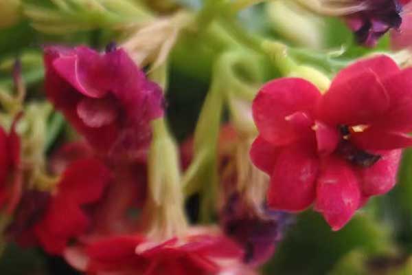 广州心理咨询师证怎么考 - 报考条件要求有哪些？