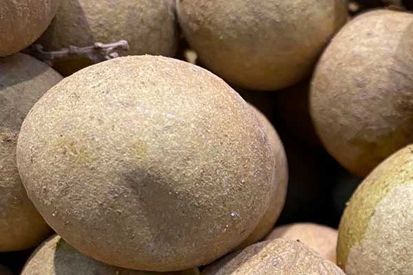 张家口营养师培训费用要多少 - 培训机构哪家好？