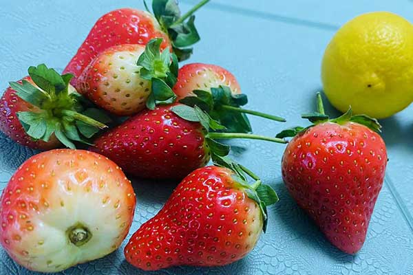 长春营养师培训费用要多少 - 培训机构哪家好？