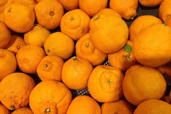 南阳营养师培训费用要多少 - 培训机构哪家好？