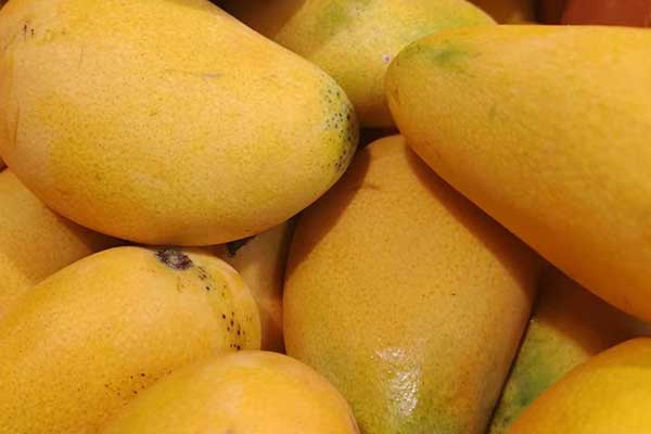 泸州营养师培训费用要多少 - 培训机构哪家好？