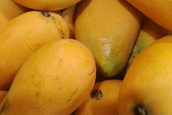 攀枝花营养师培训费用要多少 - 培训机构哪家好？