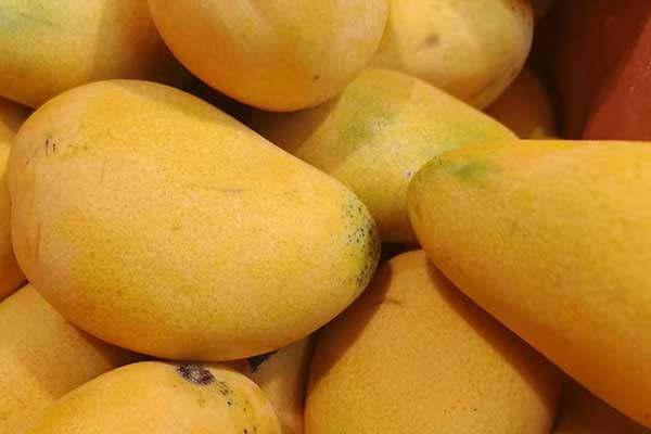 遂宁营养师培训费用要多少 - 培训机构哪家好？