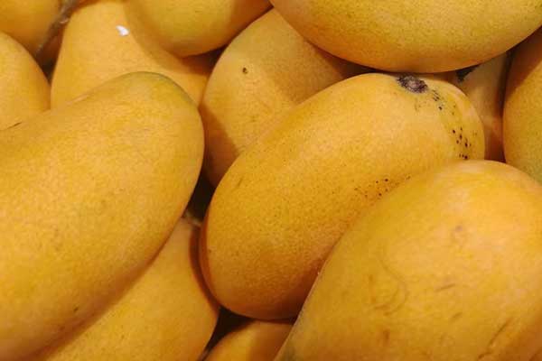 乐山营养师培训费用要多少 - 培训机构哪家好？