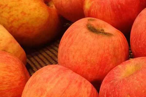 广元营养师培训费用要多少 - 培训机构哪家好？