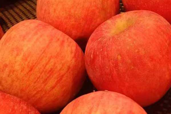 贵阳营养师培训费用要多少 - 培训机构哪家好？