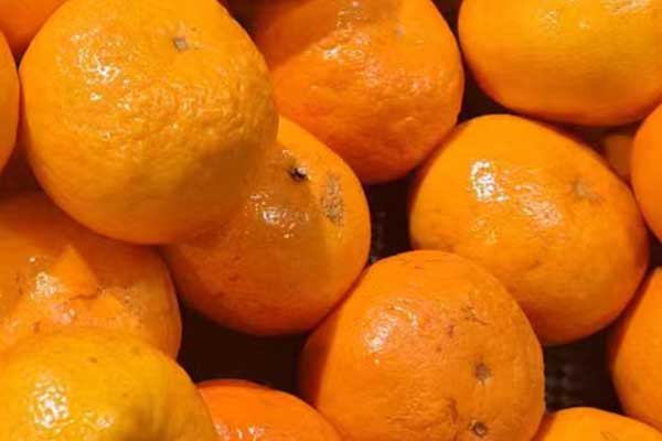 海口营养师培训费用要多少 - 培训机构哪家好？