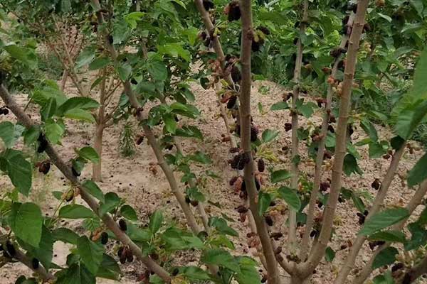 丹东社会工作者培训机构哪家好？费用多少钱？