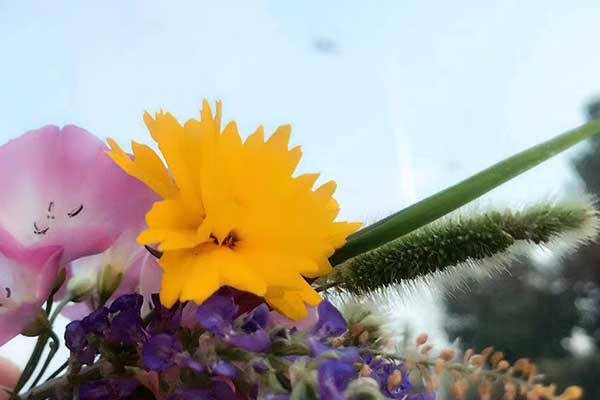 营口社会工作者培训机构哪家好？费用多少钱？